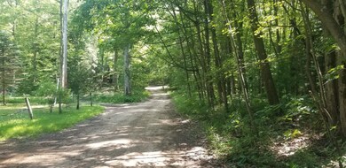 116796370_2723813771229626_6880726612868