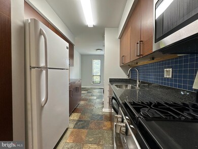 11212 Chestnut Grove Square unit 213, Reston, VA 20190 - photo 4