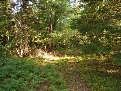 0 Corner of Long Pond & Blk Fly Blvd unit 4392747, Westmore, VT 05871 - photo 5