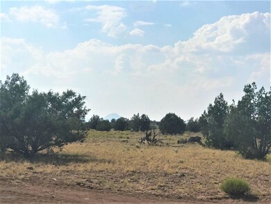 45210 N Honeysuckle Rd, Ash Fork, AZ 86320 - photo 6