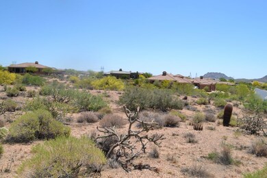 10 Acres (20)