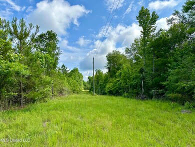 0 Harris Rd, McComb, MS 39648 - photo 6