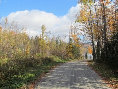 345 Oxbow Rd, Morgan, VT 05853 - photo 7