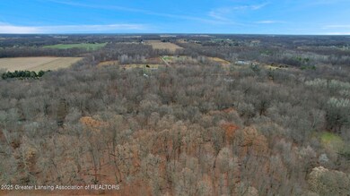 0 Allen Rd unit 292771, Fowlerville, MI 48836 - photo 5