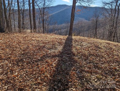 367 Kestrel Ln unit T-85, Black Mountain, NC 28711 - photo 2