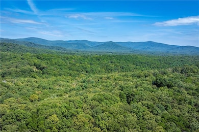 2844 Burnt Mountain Rd, Jasper, GA 30143 - photo 5