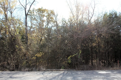 0 Red Lake Rd, Albany, OK 74726 - photo 2