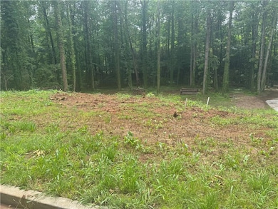 View of local wilderness