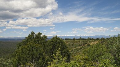 32450 Timber Ridge Ln unit B31, Trinidad, CO 81082 - photo 7
