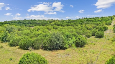 Lot 15 unit High Ridge Court, Mineral Wells, TX 76067 - photo 4