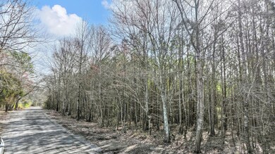 DJI_20240224181350_0784_D