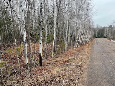 xx Maple Hill Dr, Cloquet, MN 55720 - photo 2