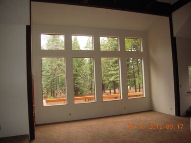 Living room windows