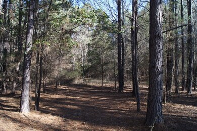 4.57 Ac. Goshen St, Lincolnton, GA 30817 - photo 7