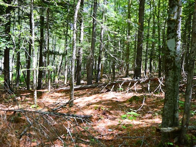 710-644 Beechwood St, Warren, ME 04864 - photo 6