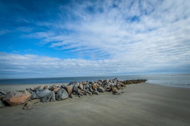 _DSC4715