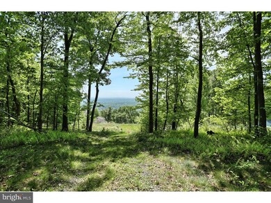 146 Overlook Rd, Morgantown, PA 19543 - photo 4