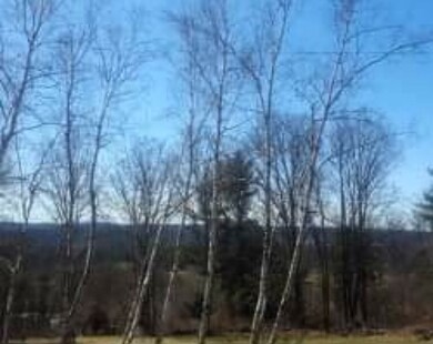 481 Berry Brook Ln, Pembroke, NH 03275 - photo 3