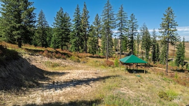 NKA O'Reilly Rd, Princeton, ID 83857 - photo 3