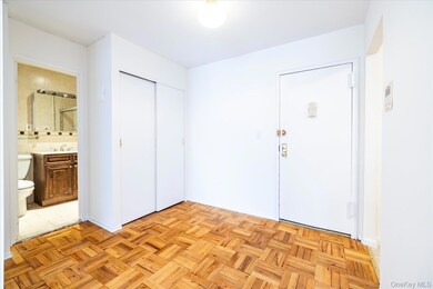 22 N Forest Ave unit 1E, Rockville Centre, NY 11570 - photo 5