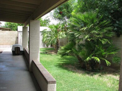 Rear yard2