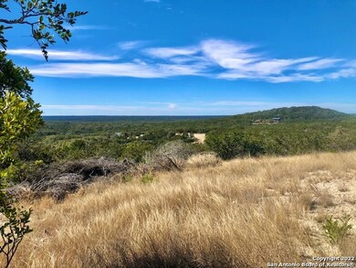 819 County Road 245, Hondo, TX 78861 - photo 5