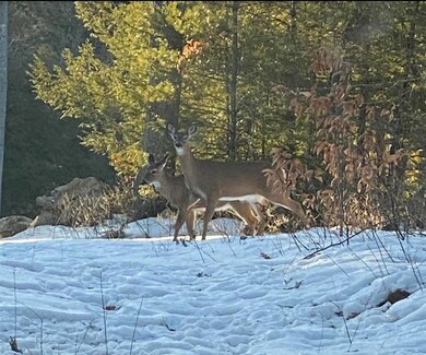 0 Earls Rd unit 20-C, South Berwick, ME 03908 - photo 4
