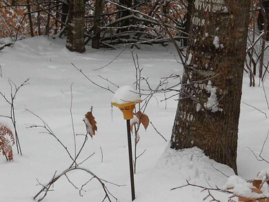 Lot #1 Off Rd S, Parsonsfield, ME 04047 - photo 6