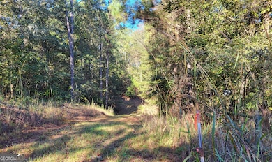 1669 Griswoldville Rd, Macon, GA 31217 - photo 6