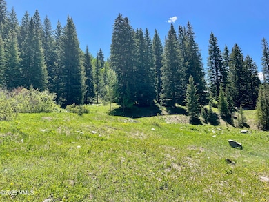 001 Street 8, Eagle, CO 81631 - photo 2