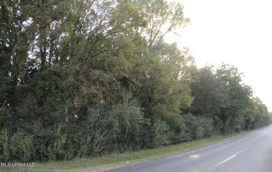 image_6487327 (2)