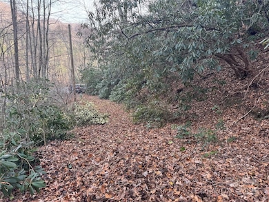 2664 N Carolina 9, Black Mountain, NC 28711 - photo 2