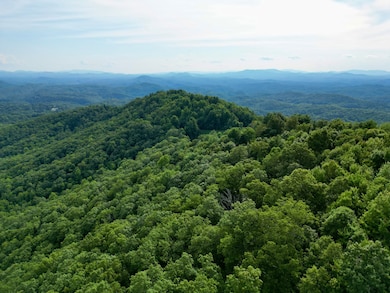 179.88 Ac Fain Peak, Murphy, NC 28906 - photo 2