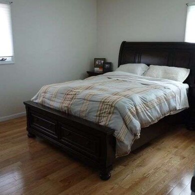 541 W Lorraine Ave, Elmhurst, IL 60126 - photo 7