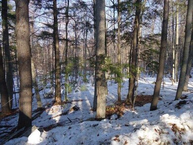 0 Parker Rd unit 201425381, Hadley, NY 12835 - photo 4