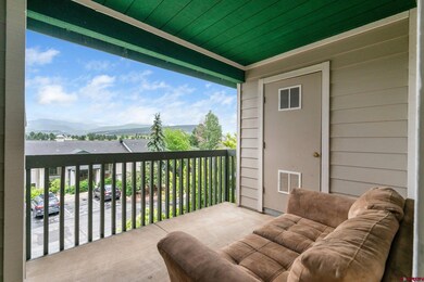 1100 Goeglein Gulch Rd unit 247, Durango, CO 81301 - photo 3