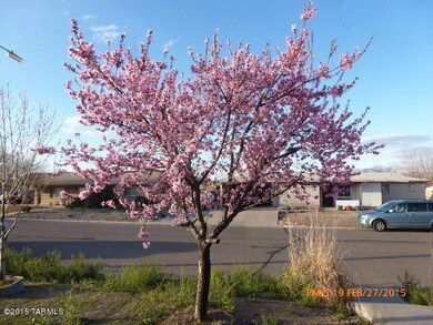 FRONTYARD TREE