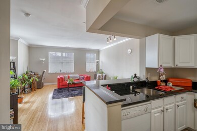 23 Pierside Dr unit 316, Baltimore, MD 21230 - photo 6