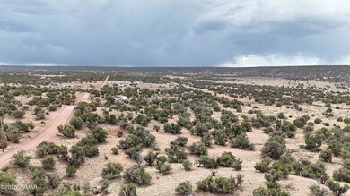 DJI_20250503105352_0041_D