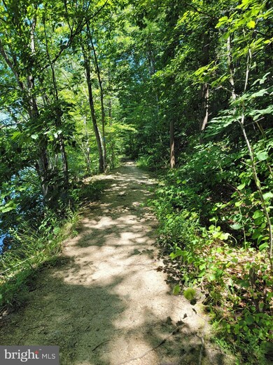 12325 Newcastle Loop, Woodbridge, VA 22192 - photo 4