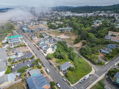 newport-backlightmarketing-2