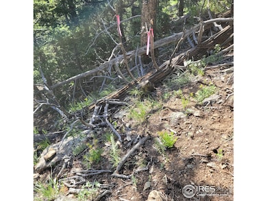 0 Gold Trail, Gold Hill, CO 80302 - photo 4