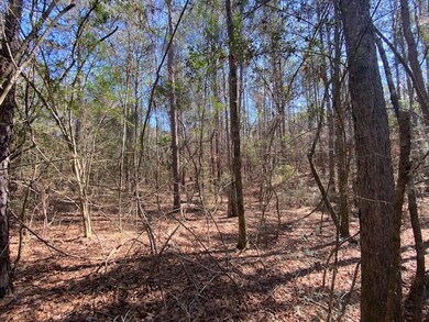 1064 Taylor Rd, Osyka, MS 39657 - photo 4