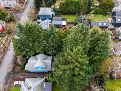 Drone View/UAV