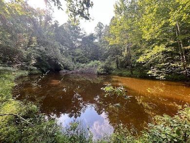 Pond