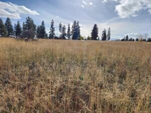 20251110204401512756000000