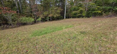 1938 Irish St unit 1938, Summersville, WV 26651 - photo 7