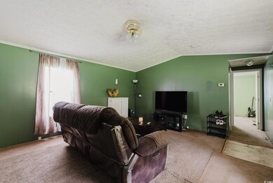 1610 Family Ln, Conway, SC 29527 - photo 5