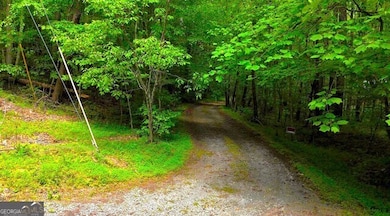 0 Nocona Trail, Ellijay, GA 30536 - photo 5