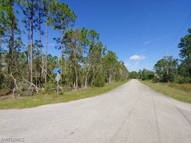 848 Gedeon Rd, Lehigh Acres, FL 33974 - photo 4